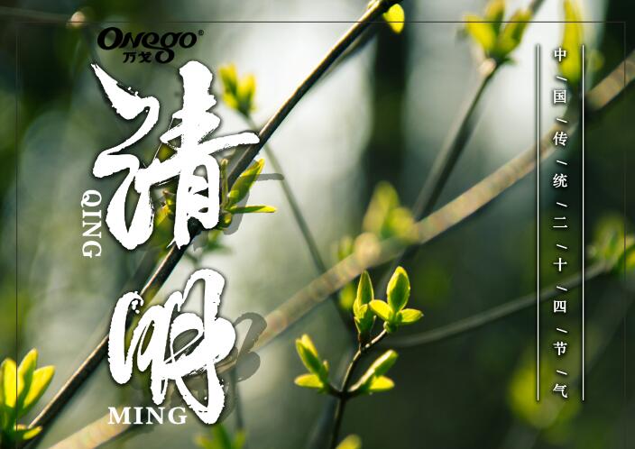 清明時(shí)節(jié)雨紛紛，萬戈好紙送健康！