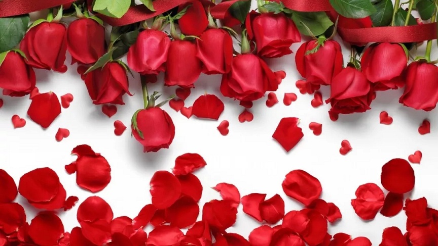 情人節(jié)，總有一款是你中意的！