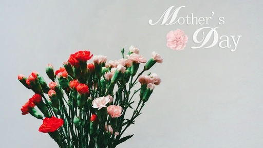 我住過最貴的房子，是媽媽的肚子！